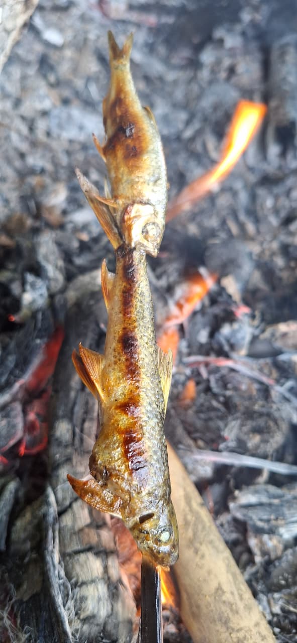 fish roasting